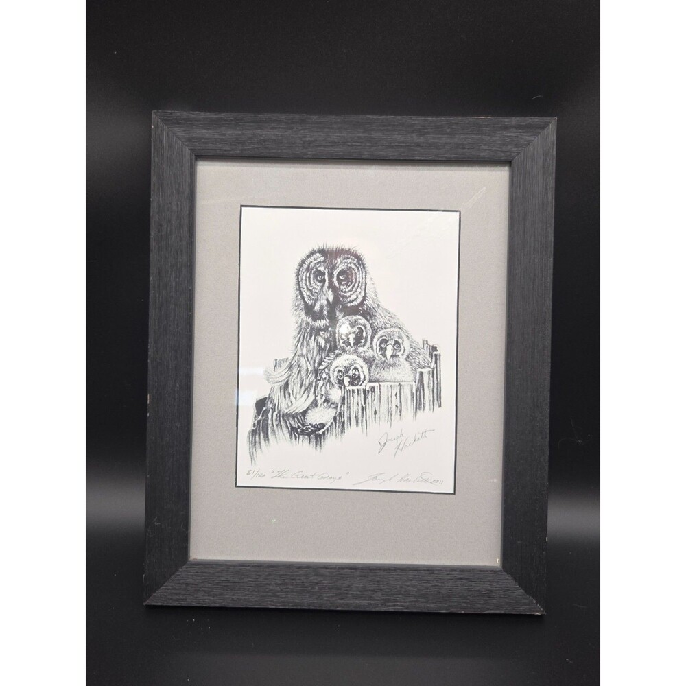 Joseph Hackett Framed Print Numbered 31 / 100 The Great Grays Great Gray Owls